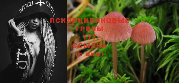 прущие грибы Горнозаводск