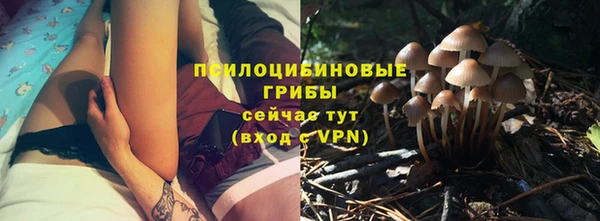 марихуана Абаза