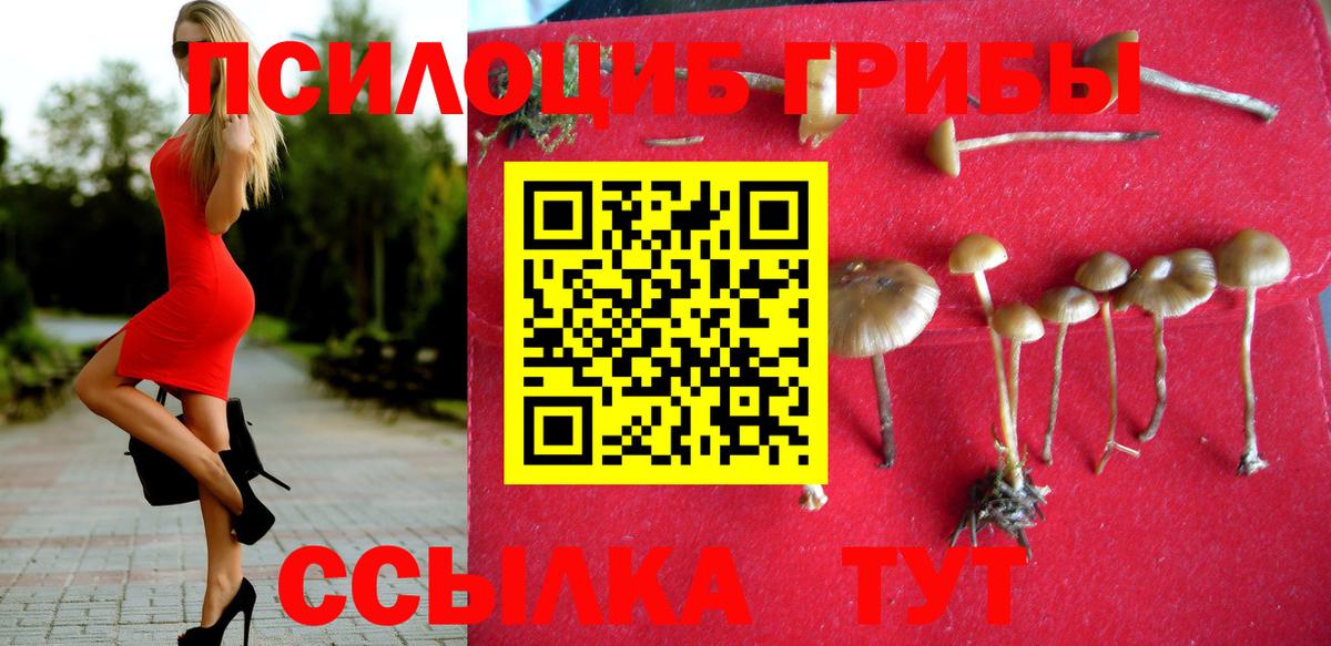 Стрежевой  Галлюциногенные грибы прущие грибы  Вход с VPN 