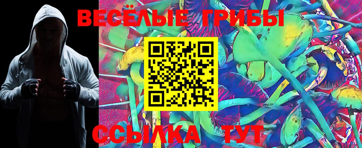 Псилоцибиновые грибы прущие грибы Стрежевой